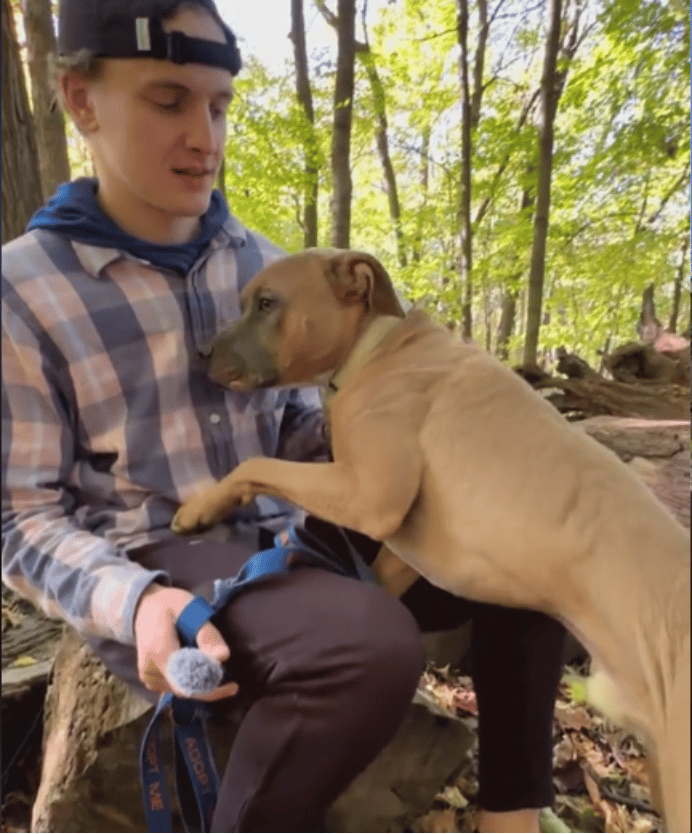 Shelter's Longest Resident Has Watched his Friends All Get Adopted. After 9 Months this Pitbull Feels Invisible.